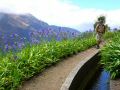 Madeira0889.JPG